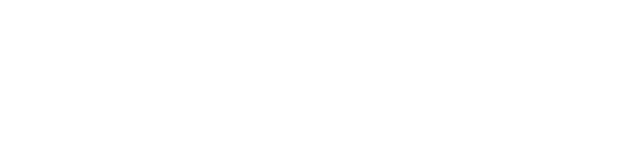 BIG DOG III