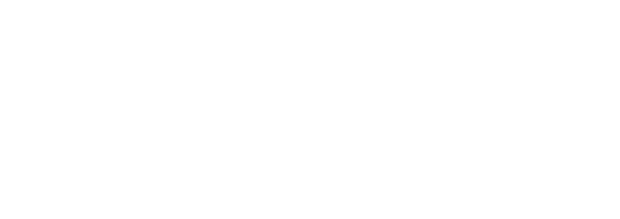 SOLO XII
